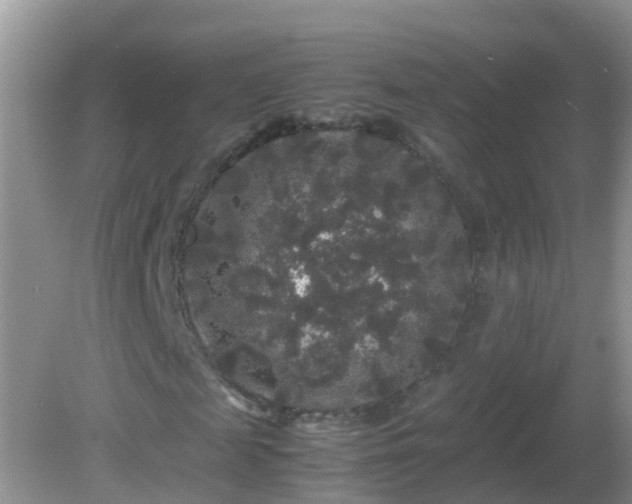 X0000081610817200701221200