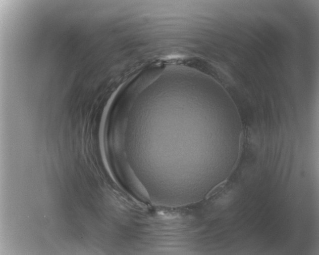 X0000081610818200701221200