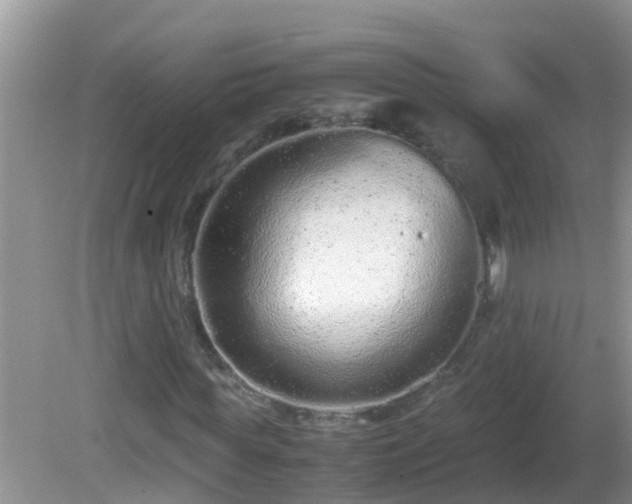 X0000081610819200701221200