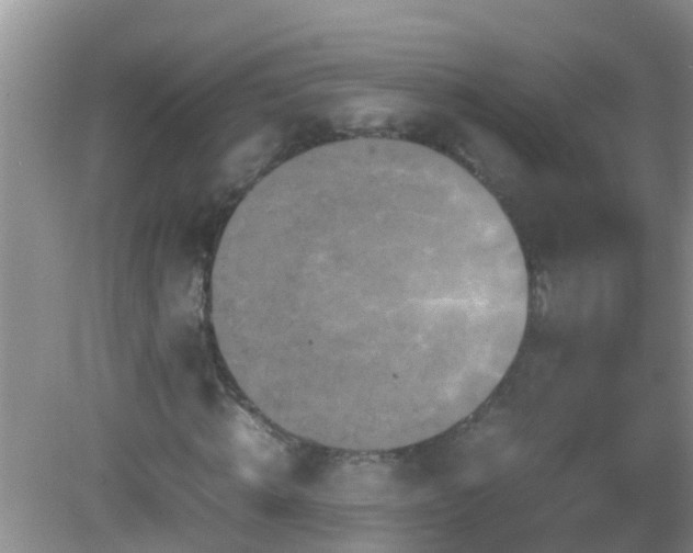 X0000081610820200701221200