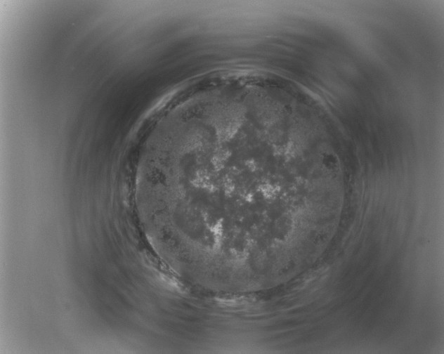 X0000081610823200701221200