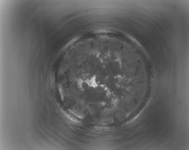 X0000081610825200701221200