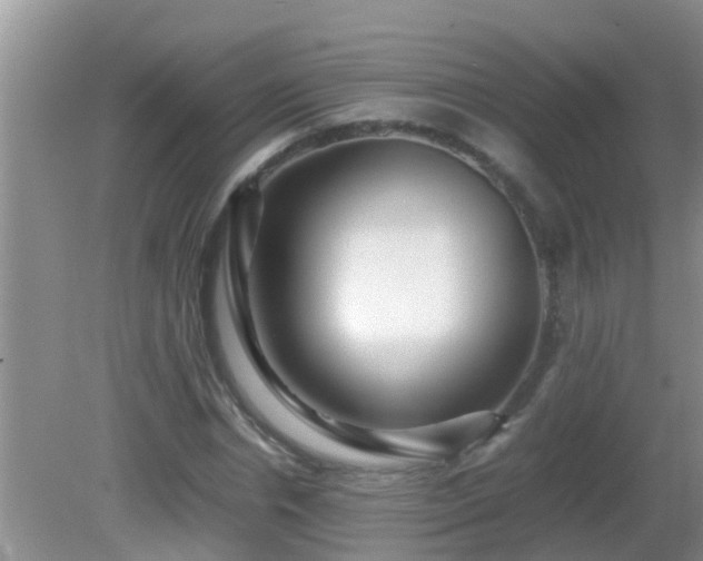 X0000081610826200701221200