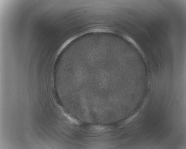 X0000081610829200701221200