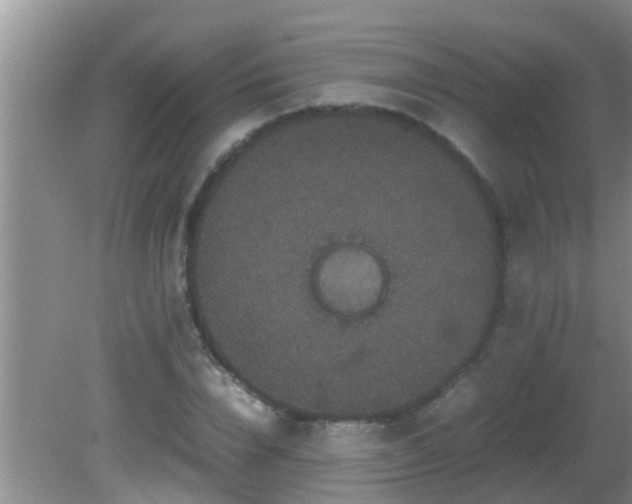 X0000081610832200701221200