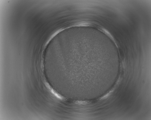 X0000081610835200701221200