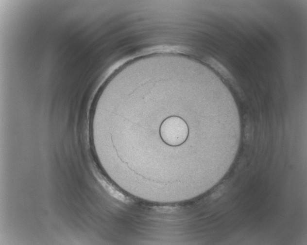 X0000081610836200701221200