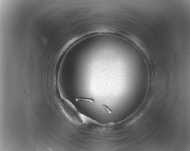 X0000081610837200701221200