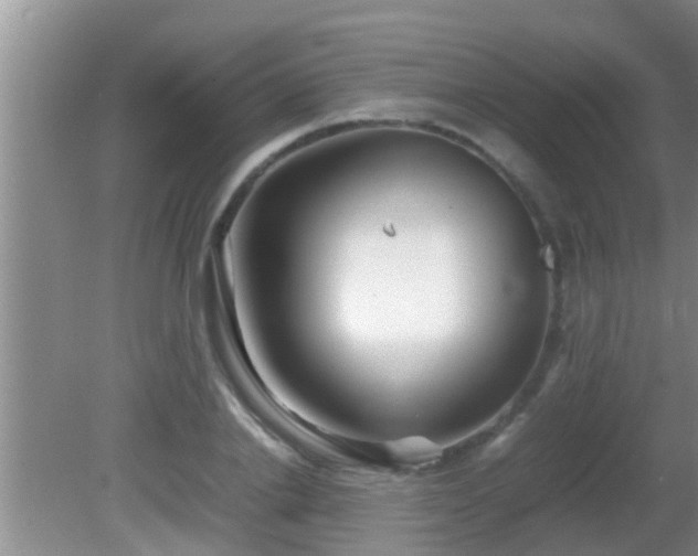 X0000081610838200701221200