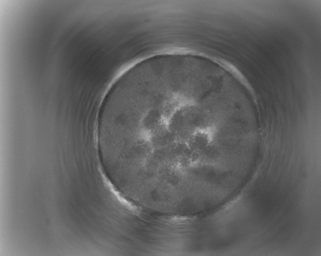 X0000081610839200701221200