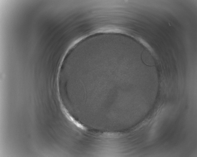 X0000081610840200701221200