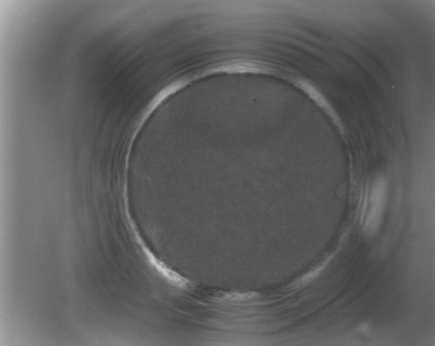 X0000081610845200701221200