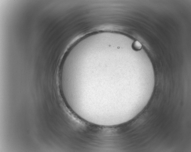 X0000081610848200701221200