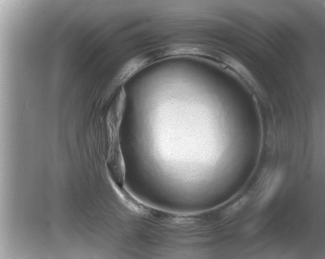 X0000081610849200701221200