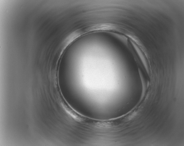 X0000081610850200701221200