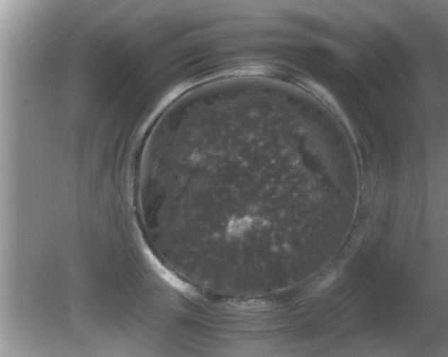 X0000081610851200701221200