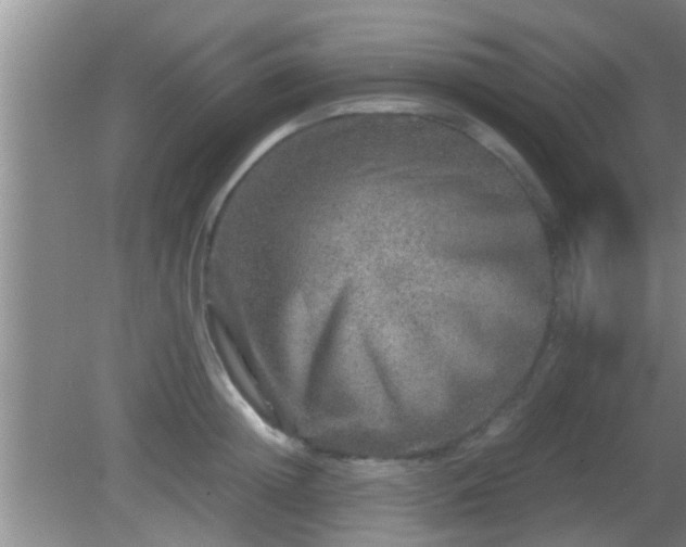 X0000081610852200701221200