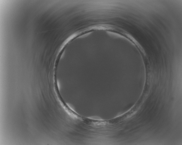 X0000081610853200701221200