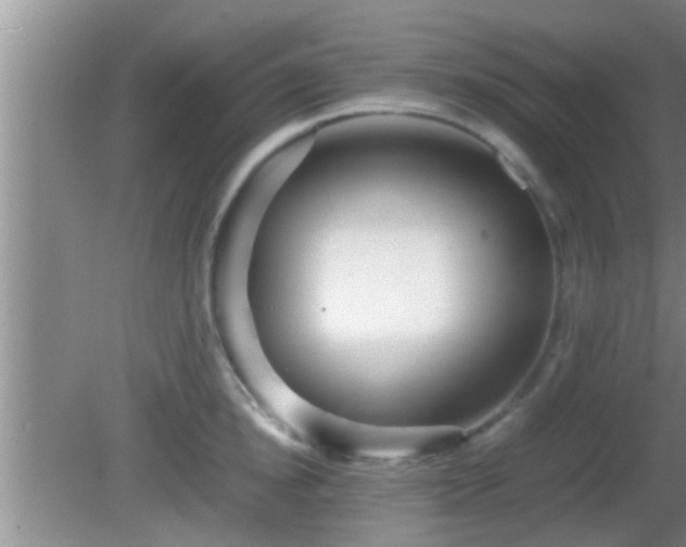 X0000081610854200701221200