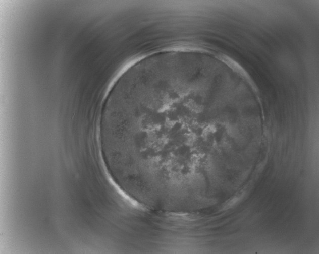 X0000081610855200701221200