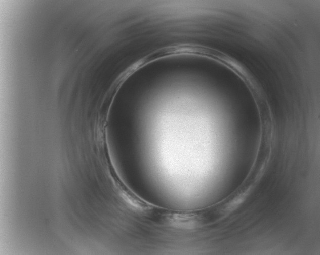 X0000081610857200701221200