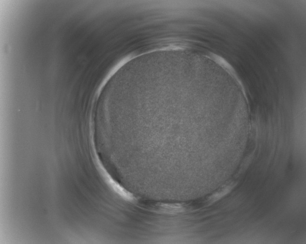 X0000081610859200701221200