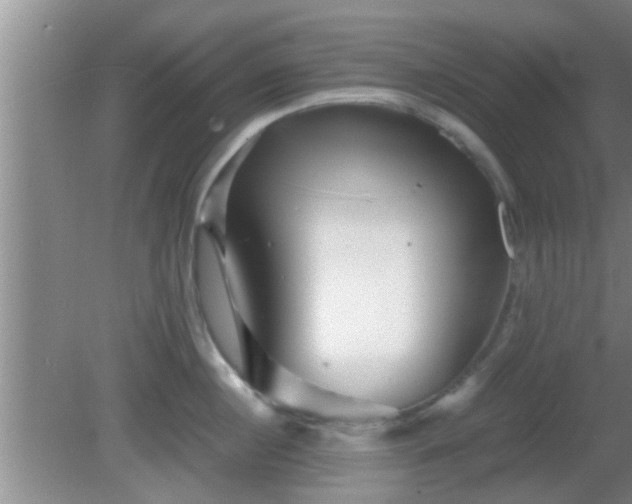 X0000081610860200701221200