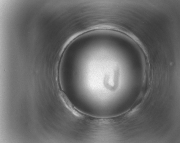 X0000081610862200701221200