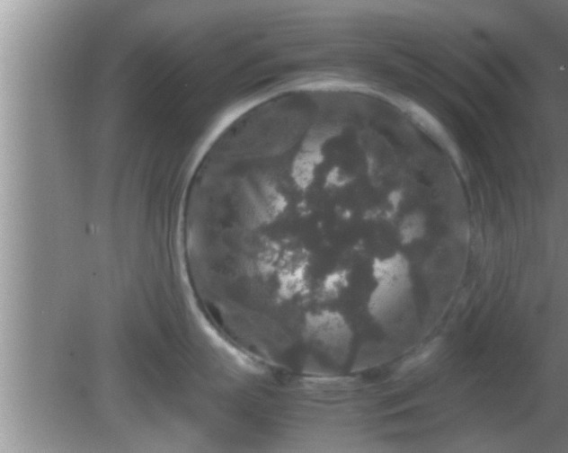 X0000081610863200701221200