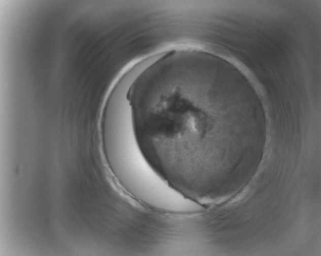 X0000081610864200701221200