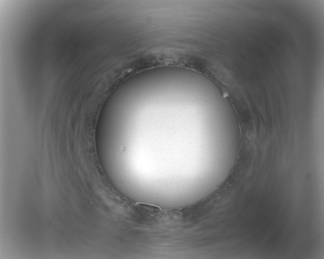 X0000081610865200701221200