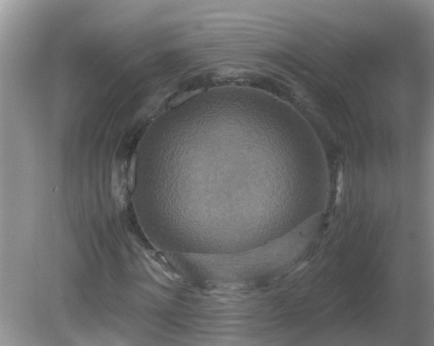 X0000081610868200701221200