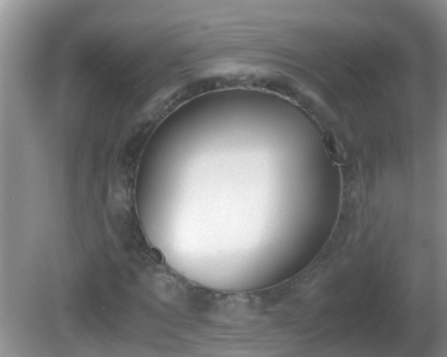 X0000081610869200701221200