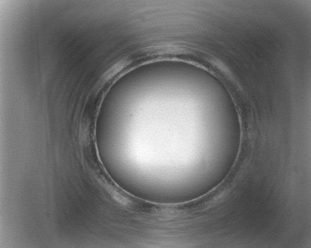 X0000081610873200701221159