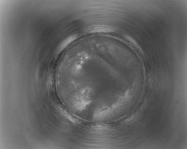 X0000081610874200701221159