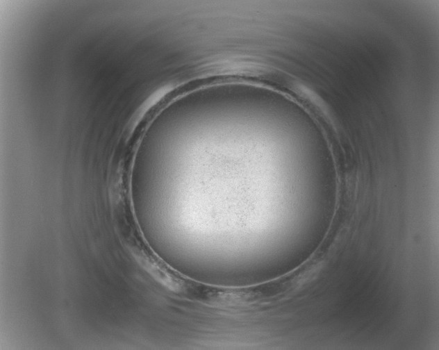 X0000081610875200701221159