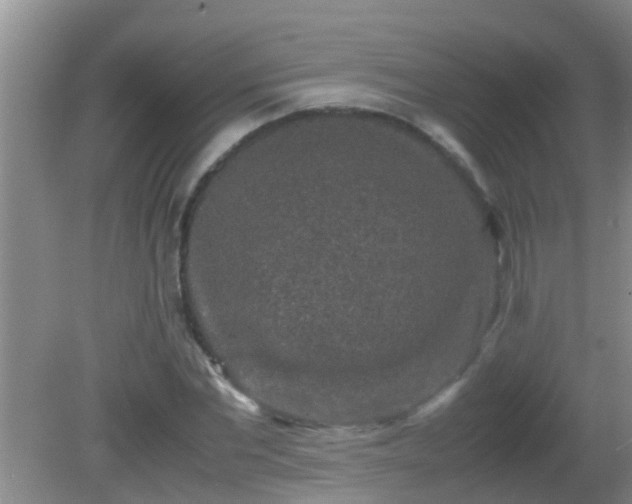 X0000081610877200701221159