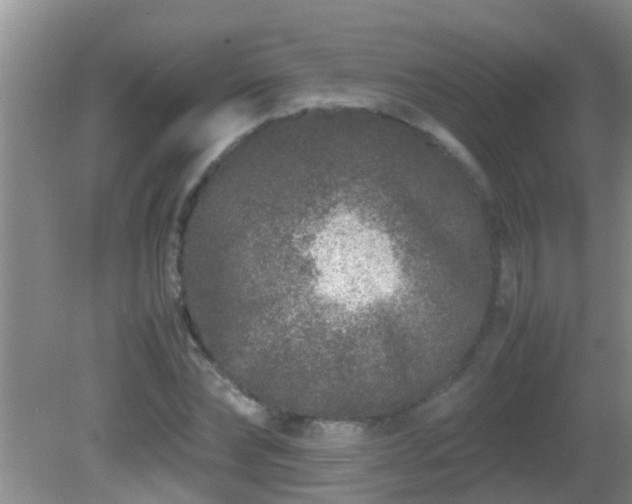 X0000081610878200701221159