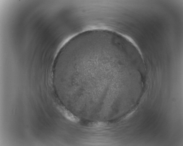 X0000081610879200701221159