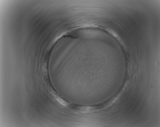 X0000081610881200701221159