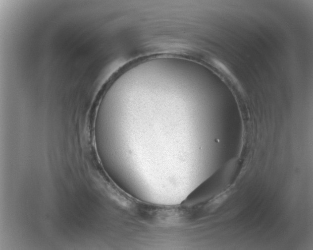 X0000081610883200701221159