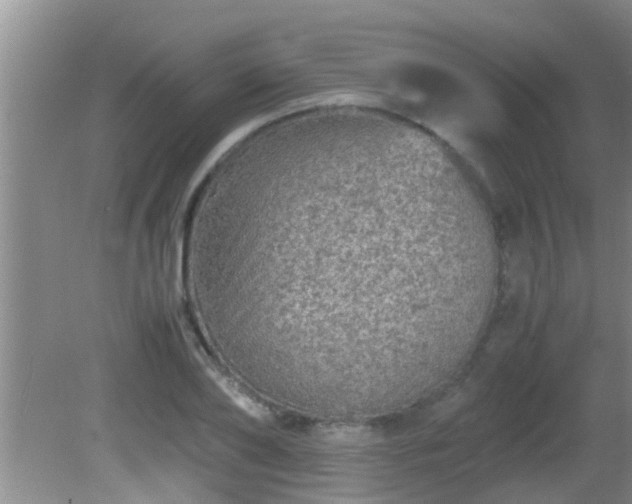 X0000081610886200701221159