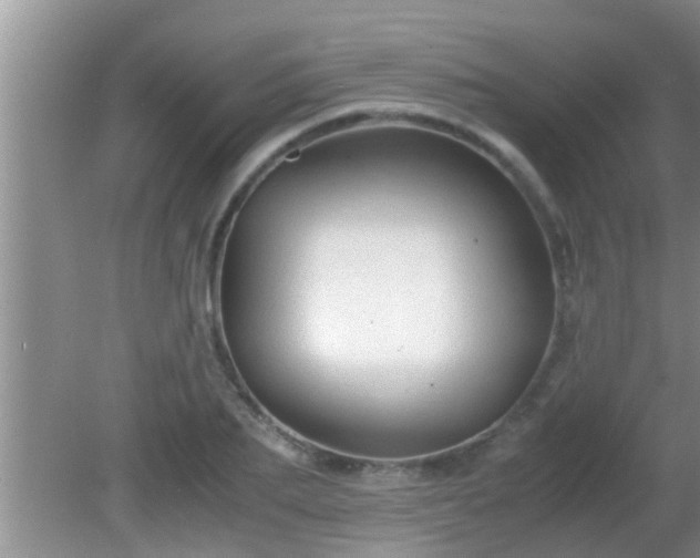 X0000081610887200701221159