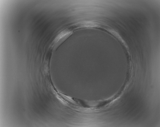 X0000081610889200701221159