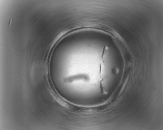 X0000081610891200701221159