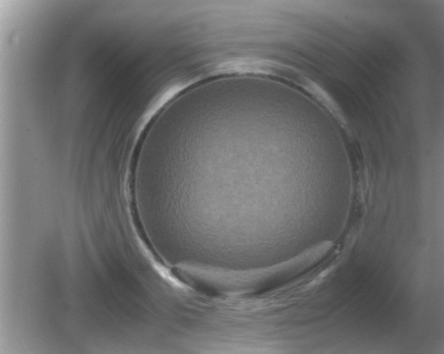 X0000081610893200701221159