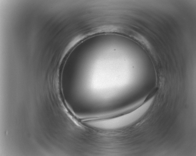 X0000081610894200701221159