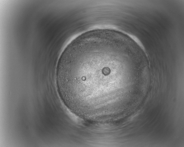 X0000081610895200701221159