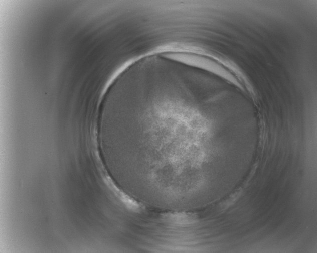 X0000081610896200701221159