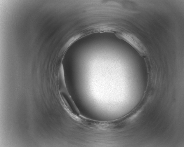 X0000081610897200701221159